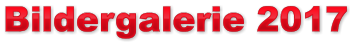 Bildergalerie 2017 Bildergalerie 2017 Bildergalerie 2017