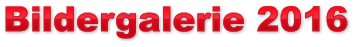 Bildergalerie 2016 Bildergalerie 2016 Bildergalerie 2016